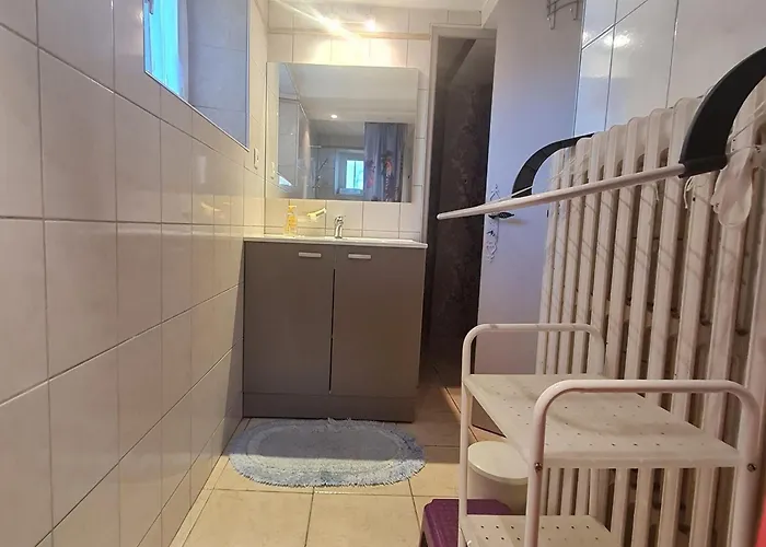 Confortable Avec Terrasse Et Jardin, Pres De Baccarat, Ideal Pour Nature Et Detente - Fr-1-584-51 Prázdninový dům Reherrey