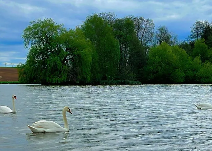Prázdninový dům Confortable Avec Terrasse Et Jardin, Pres De Baccarat, Ideal Pour Nature Et Detente - Fr-1-584-51